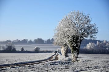 Météo : un risque de neige en plaine pour ce week-end ! Météo : un risque de neige en plaine pour ce week-end !