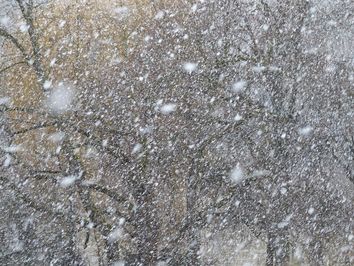 Vórtice polar aumentaría actividad de frentes fríos en México Vórtice polar aumentaría actividad de frentes fríos en México