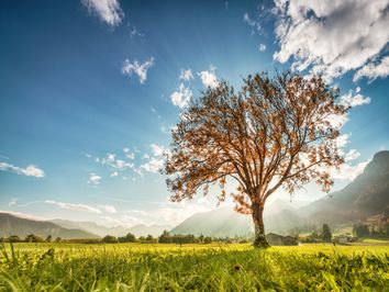 Wann kommt der Temperatursturz? Wann kommt der Temperatursturz?