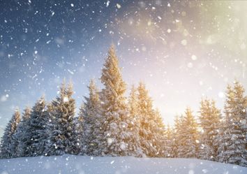 Weiße oder grüne Weihnachten 2019? Wir legen uns fest! Weiße oder grüne Weihnachten 2019? Wir legen uns fest!