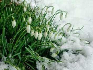 Wochenwetter: Kommt der Winter zurück? Wochenwetter: Kommt der Winter zurück?