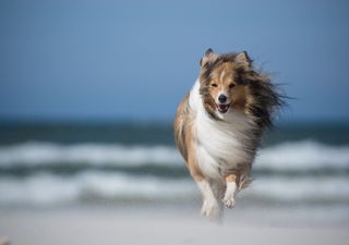 Thunderstorms forecast as windy, unsettled weather returns to UK