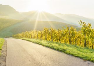 Tief Petra bringt uns Sonne - am Wochenende bis 18 Grad!