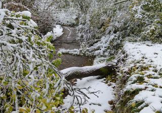 Tief Vaia bringt schweren Sturm und Schnee!