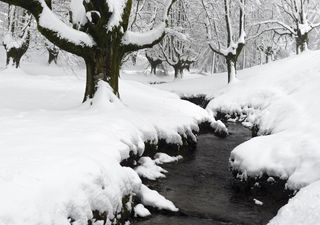 Nochevieja y Año Nuevo repletos de nieve: así será la invasión polar