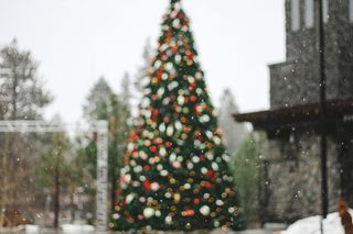 Tiempo de Navidad y Año Nuevo... ¿con cambios a la vista?