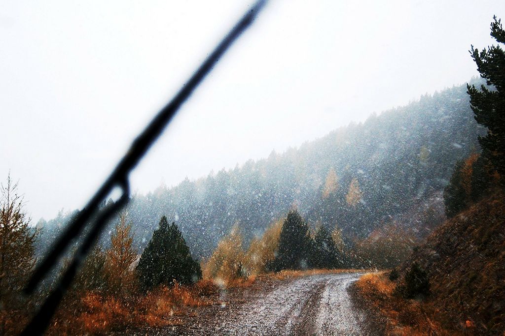 Invierno Invierno