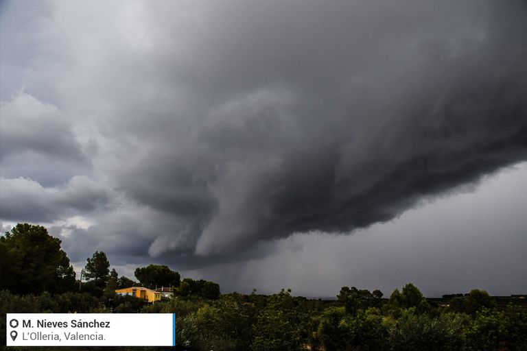 Arcus Arcus