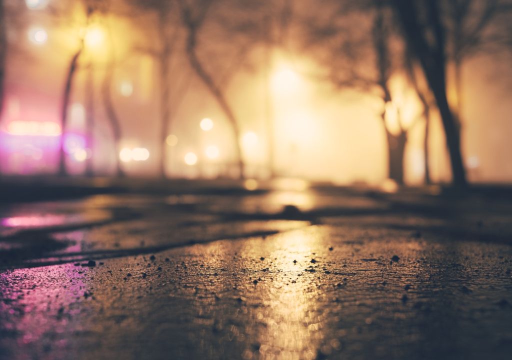 Otoño lluvias niebla neblina sudestada Otoño lluvias niebla neblina sudestada