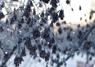 Tiempo invernal al norte y noroeste de México