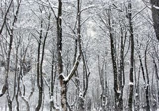 Si el tiempo ya te parece invernal, ¡prepárate para los próximos días!