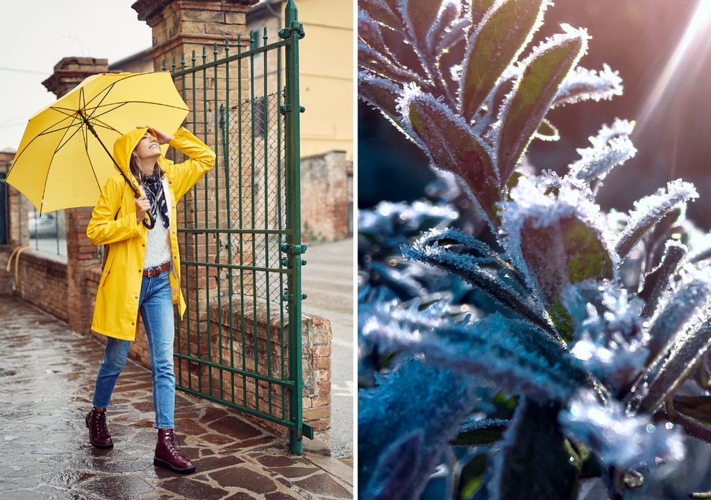 persona con paraguas y una planta con escarcha Algunas lluvias y tiempo gélido se destacará en la segunda quincena de junio.