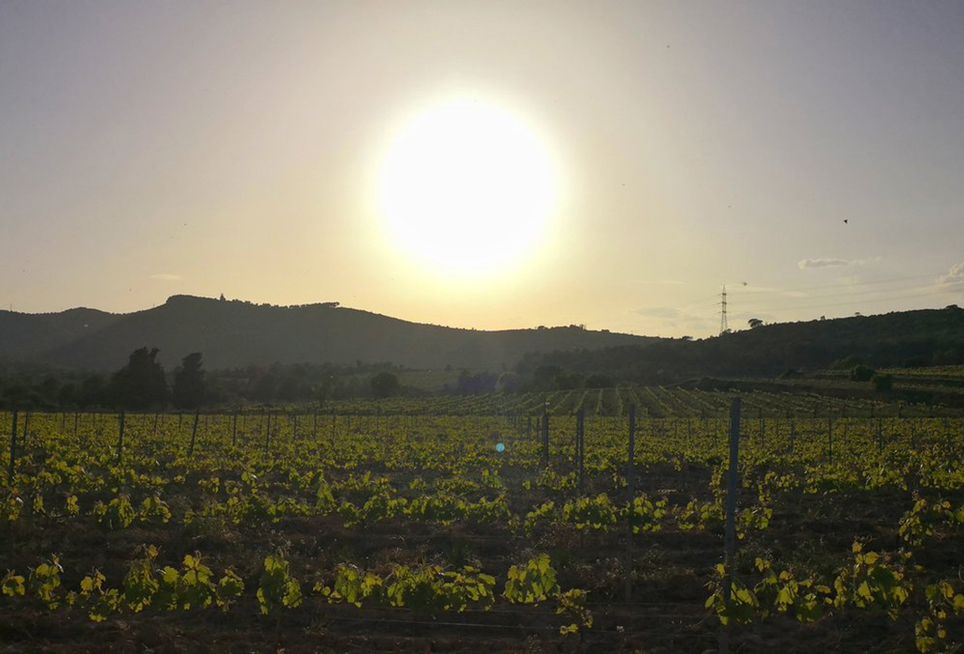 Tiempo para el fin de semana: ¿dónde y cuándo va a llover? Tiempo para el fin de semana: ¿dónde y cuándo va a llover?