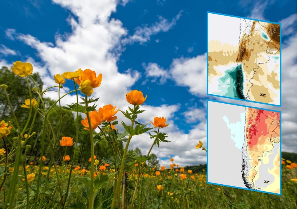 flores, paisaje primavera, cielo azul con nubes blancas y mapas de pronóstico para el mes de septiembre