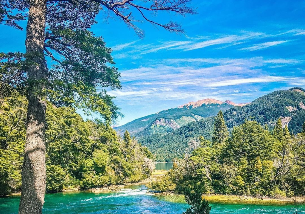Parque los Alerces Cubut Con sus 2.600 años, el Alerce Abuelo es el segundo árbol más antiguo de América del Sur. El primero es otro de su especie, ubicado en Chile y que tiene 5.400 años. Foto: X @argentinapatago