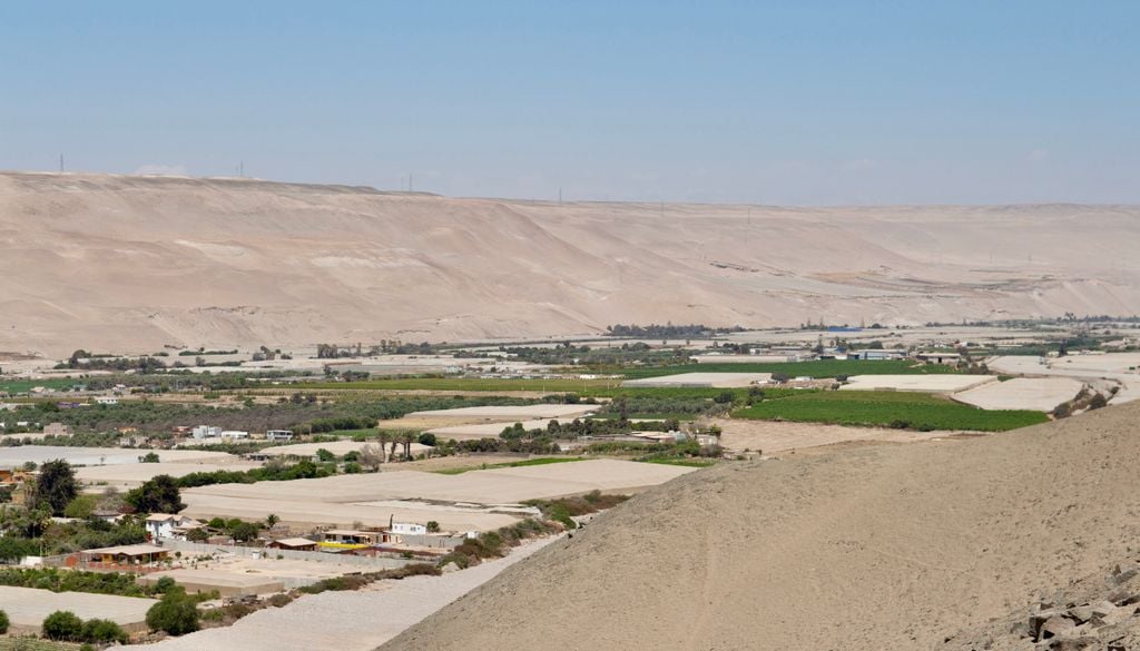 Valle de Azapa, Región de Arica y Parinacota, norte de Chile. El Valle de Azapa es un oasis agrícola de la Región de Arica y Parinacota.