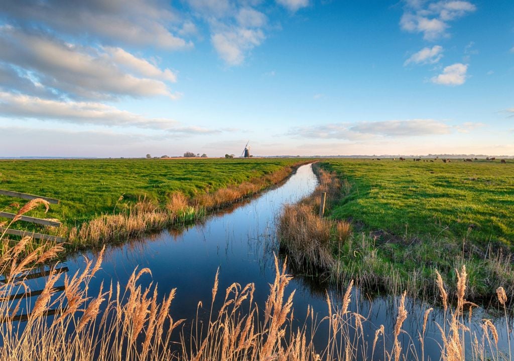 Time is running out to save the Fens from the future effects of climate change