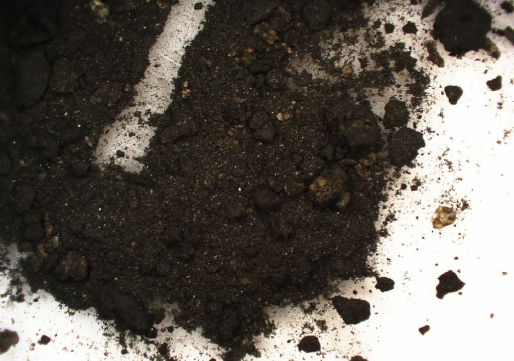 Resíduos extraídos do interior do tinteiro