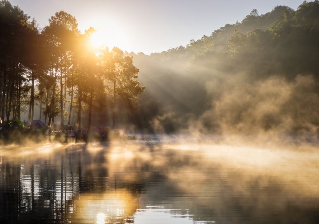 Tipos De Nieblas: ¿Cuál Es La Diferencia Entre Niebla Y Neblina?