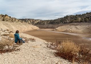 Tipos de sequías: ¿las conoces todas?