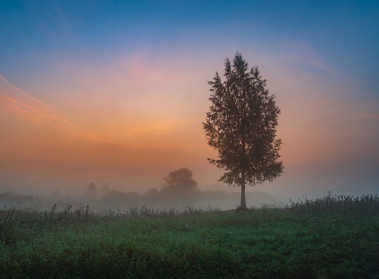 Niebla al amanecer Niebla al amanecer