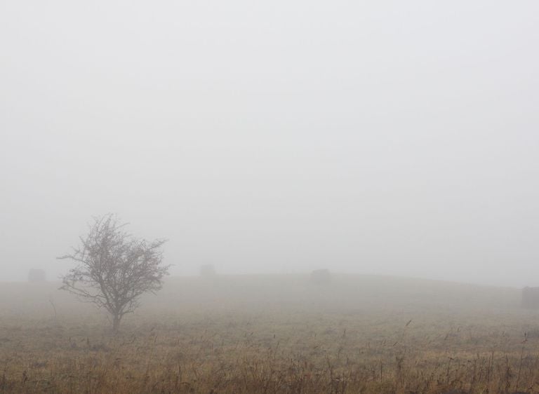 Niebla densa Niebla densa