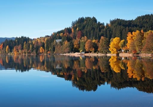 Titisee-Neustadt im Herbst: aktuelle Wetterprognose am Schwarzwaldsee