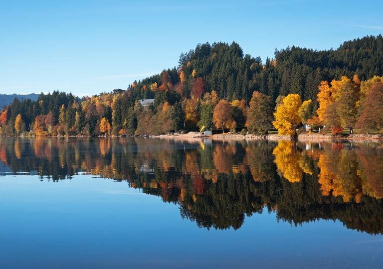 Titisee-Neustadt im Herbst: aktuelle Wetterprognose am Schwarzwaldsee