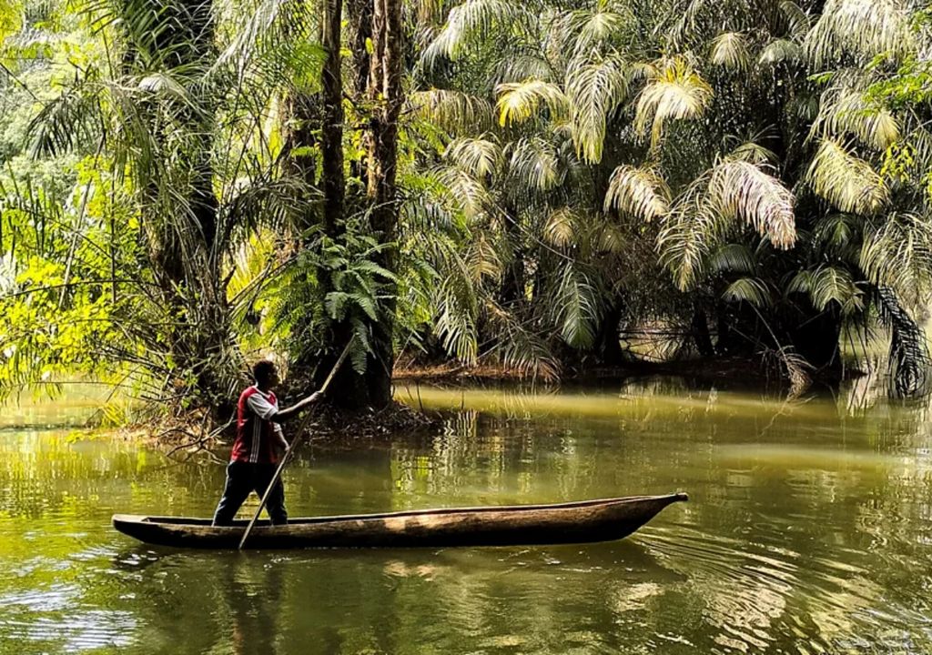 Tiwai Sierra Leona África Unesco Tiwai Sierra Leona África Unesco