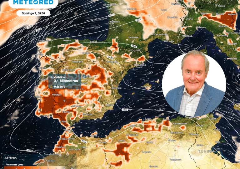 Todo cambiará en este puente de la Constitución, avisa Maldonado: novedades en el tiempo del sábado 6 y domingo 7