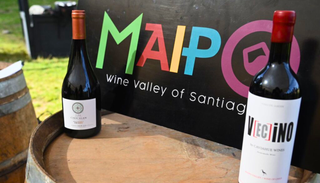 Todo listo para la Vendimia del Valle del Maipo 2026: conoce las fechas, artistas y precios de las degustaciones