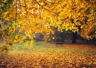 Todo lo que debes saber sobre el equinoccio de otoño... y algo más