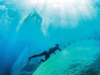 Todos juntos pelos oceanos