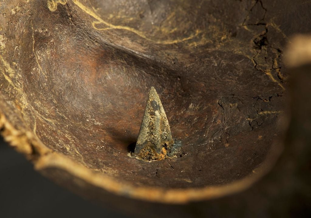 Nahaufnahme des Schädels mit eingeschossener Bronzepfeilspitze Foto: Volker Minkus