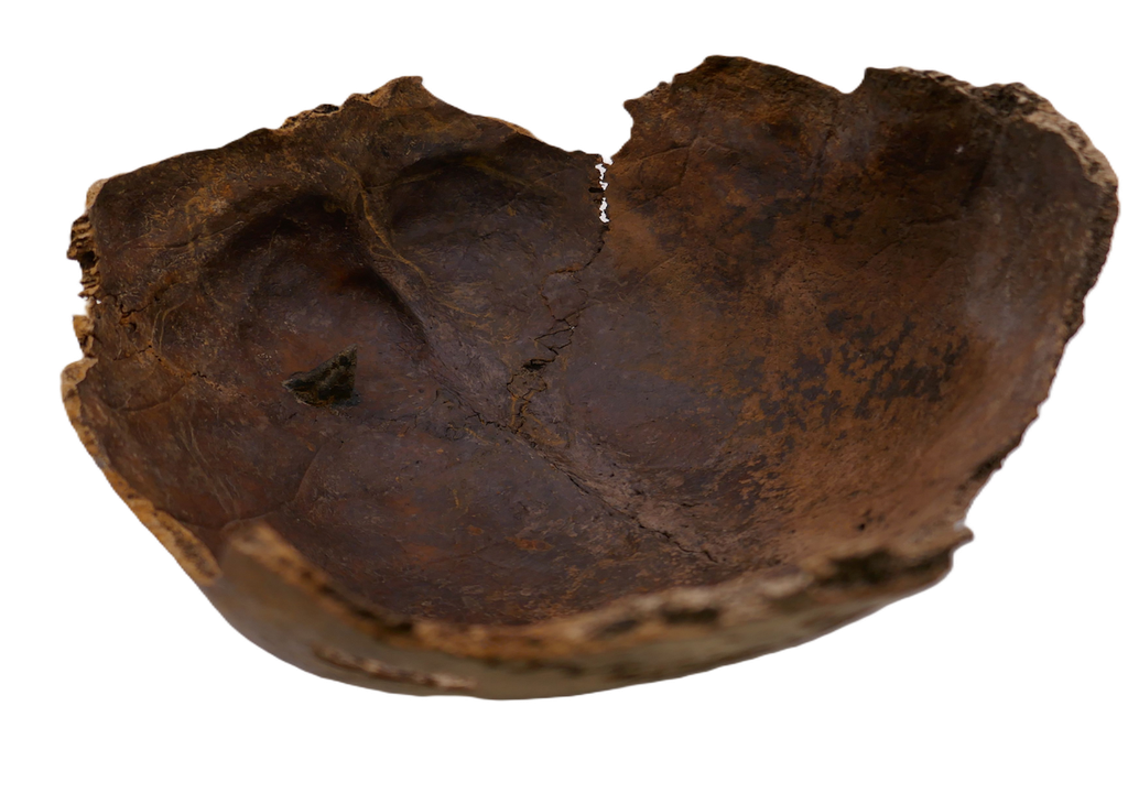 Bronzepfeilspitze, Tollense, Pfeilschuss,Hinterkopf,Opfer