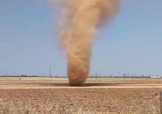 Tolvanera viral en las llanuras de Albacete: ¿sabes cómo se forman?