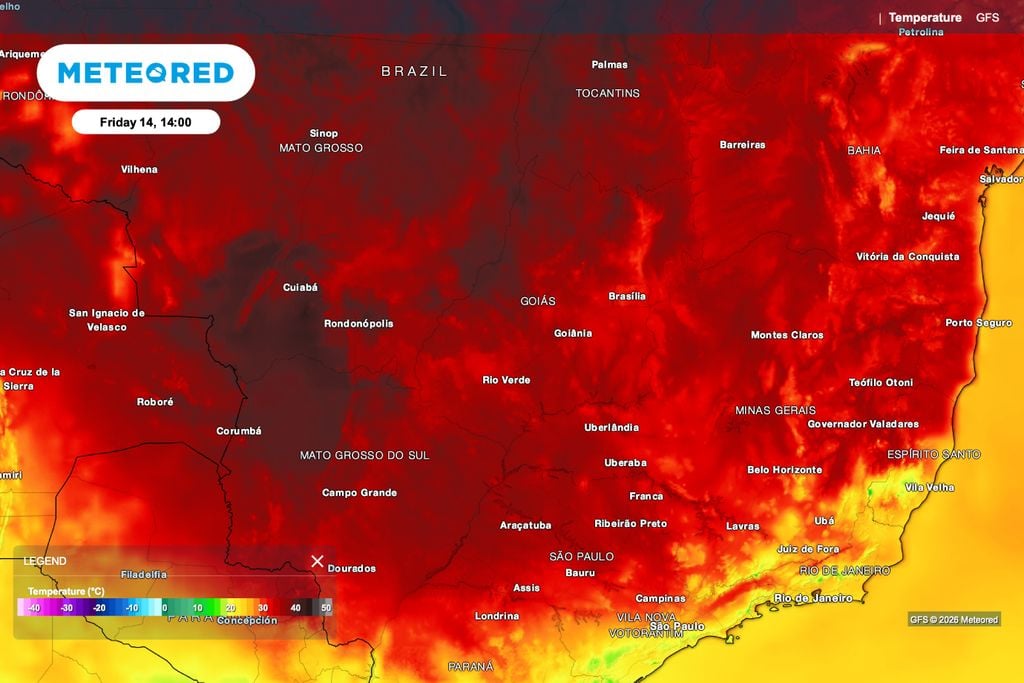 tomate, calor, temperatura Previsão de temperatura para a tarde de sexta, 14 de agosto.
