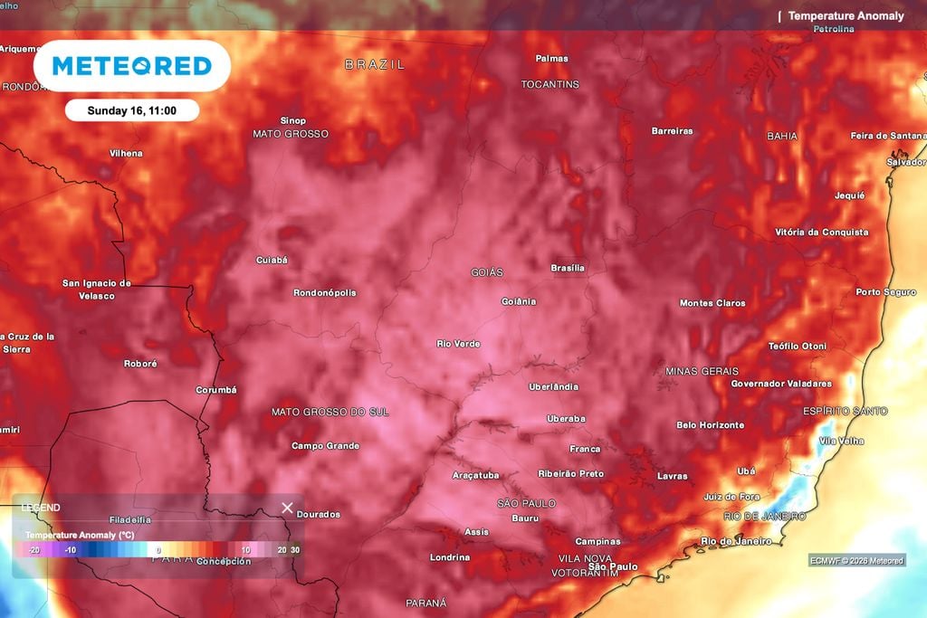 Calor, umidade, tomate, colheita Anomalia de temperatura positiva na manhã de domingo, 16 de agosto, com calor acima da média no Centro-Oeste e Sudeste.