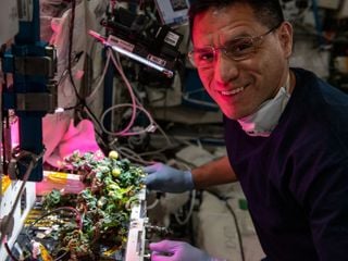 Tomates perdidos en el Espacio, son encontrados un año después en la Estación Espacial Internacional