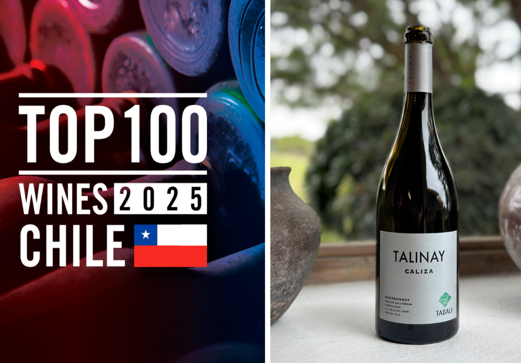top 100 wines chile