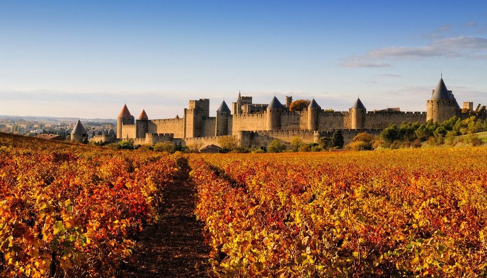 Carcassonne Cité Médiéval Vignoble Chateau Fort