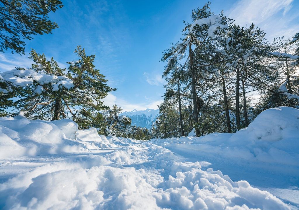 nieve nieve
