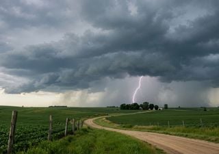 Tormenta de Santa Rosa 2026: ¿qué regiones de Argentina esperan su llegada este año?