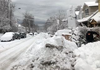 Tormenta invernal ocasiona daños significativos en Ontario, Cánada