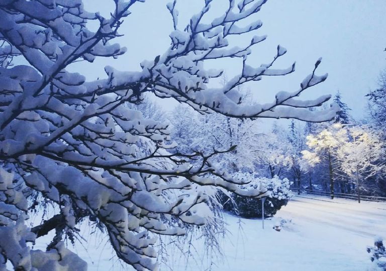 Posibles nevadas en próximos días en México Posibles nevadas en próximos días en México