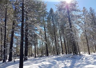 Tormenta invernal y nuevo frente frío