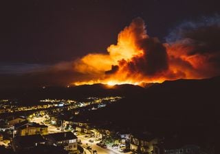 Recomendaciones de expertos para evitar tormentas de fuego en Chile