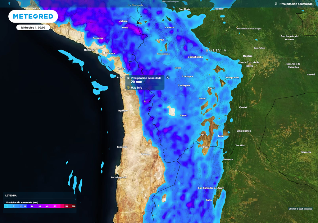 Acumulados de precipitación entre lunes 30 y martes 31 de marzo, muestran lluvias concentradas en el altiplano del norte de Chile, con montos que podrían superar los 20 mm en sectores cordilleranos, según el modelo ECMWF.