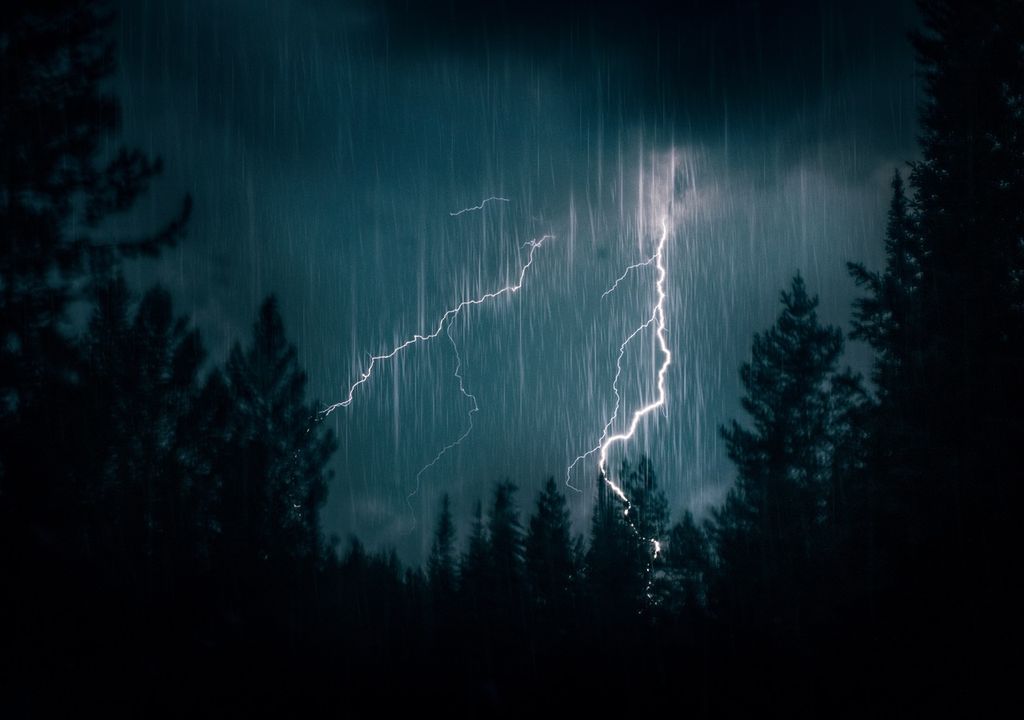 noche de tormenta eléctrica en una zona boscosa
