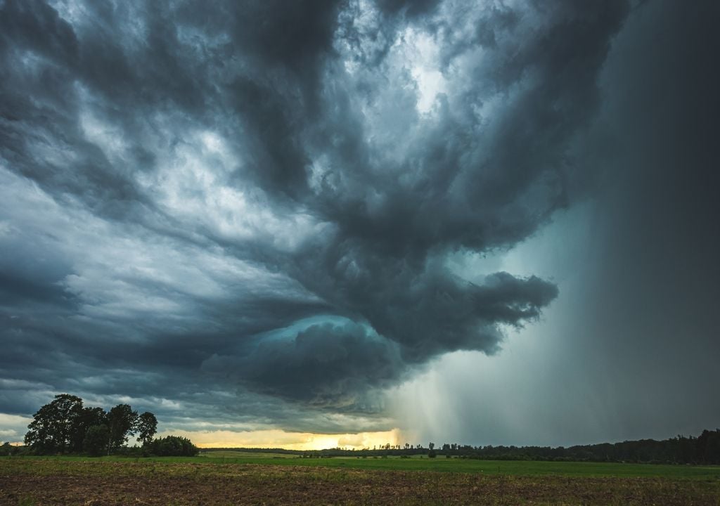 El Servicio Meteorológico Nacional mantiene alertas por tormentas, precipitaciones abundantes, viento fuerte y Zonda en distintas regiones.